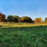 Sprzedaż działka rolna blisko Węgorzyno!