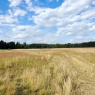 działka rolna 5,15 ha, Stolec, gmina Dobra!