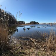 Działka przy lesie i wodzie 