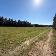 Działka przy lesie i wodzie 