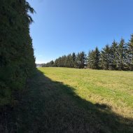 Działka przy lesie i wodzie 