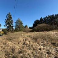 Działka rolna na sprzedaż – Żórawie