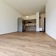 Wynajem 2 pokojowe mieszkanie, ogródek, Gumieńce!