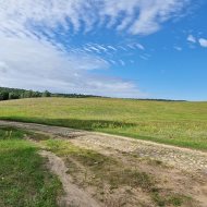 1/4 W DZIAŁCE rolnej nad malowniczym jeziorem