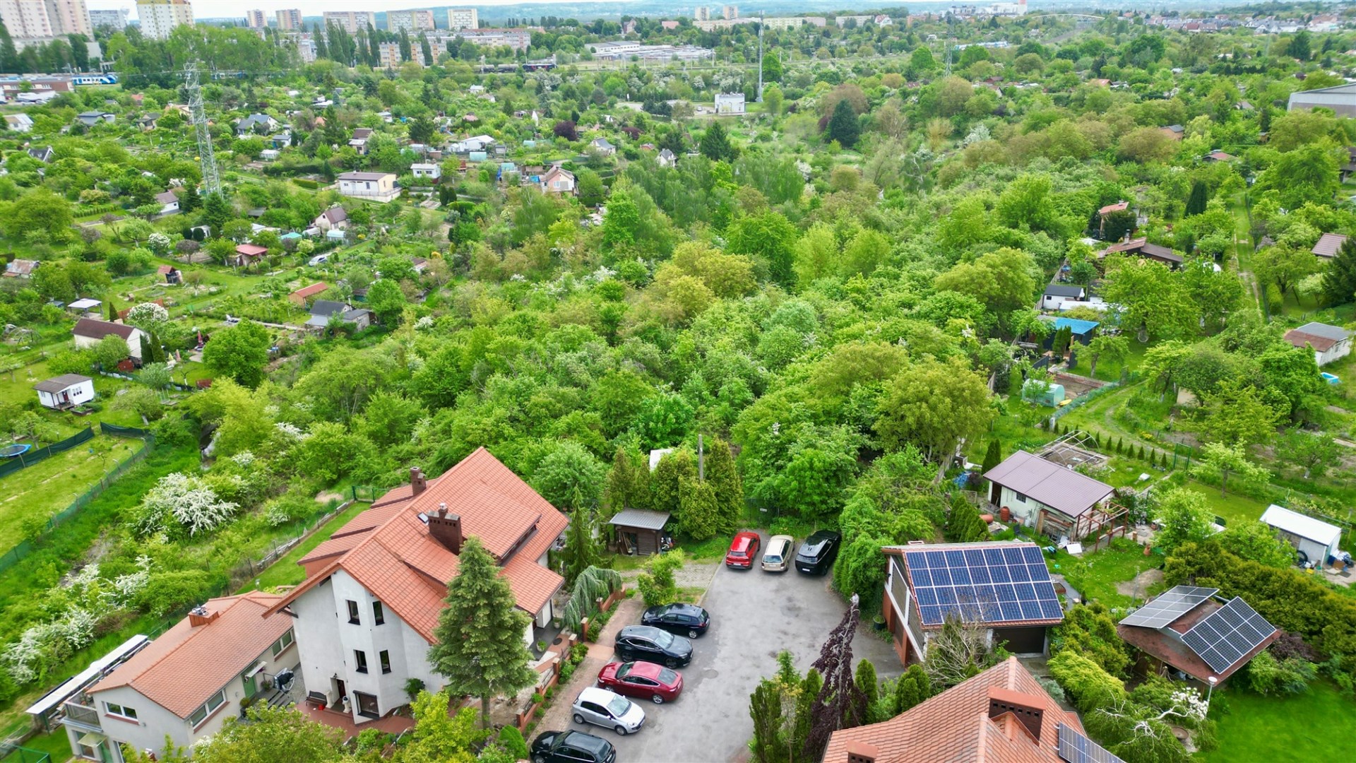 GUMIEŃCE DZIAŁKA 1,5 HA - PLAN ZAGOSPODAROWANIA 