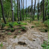 Dziwnów - okazja inwestycyjna