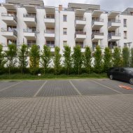 Trzypokojowe mieszkanie na Osiedlu Pionierów