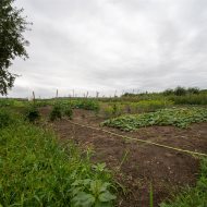 194 m²|7 pokoi|Ogród|Jeziora|Lasy|Działka 27813m²