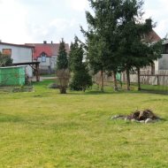 Trzebież pensjonat na sprzedaż okazja!!!