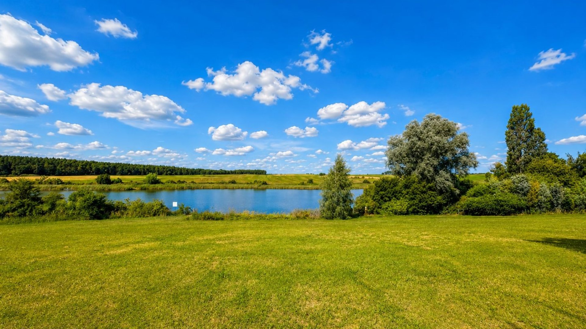 Działki nad jeziorem