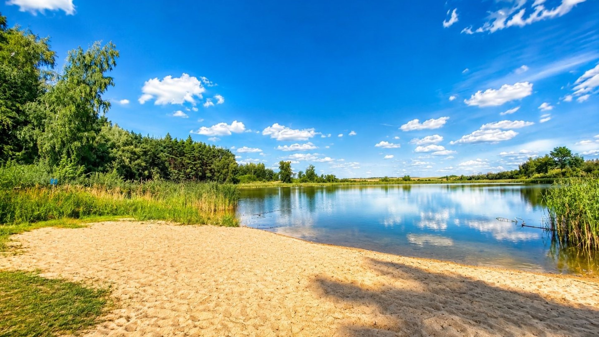 Działki nad jeziorem