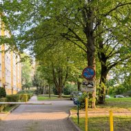3 pokoje w Centrum do remontu - spółdzielcze wł. 