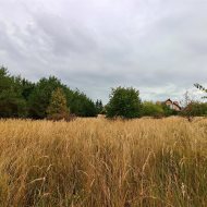 3467m2, media przy działce, Podańsko, gm. Goleniów