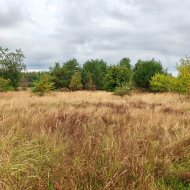 3467m2, media przy działce, Podańsko, gm. Goleniów