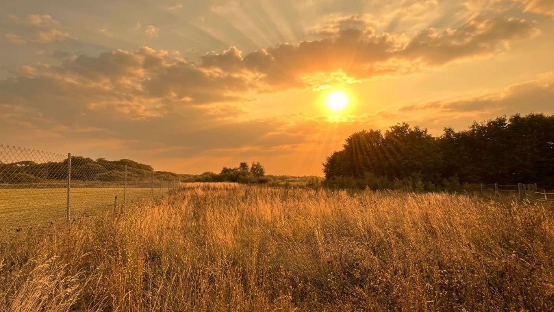 Działka na sprzedaż 2141 m2, WZ, Żabnica!